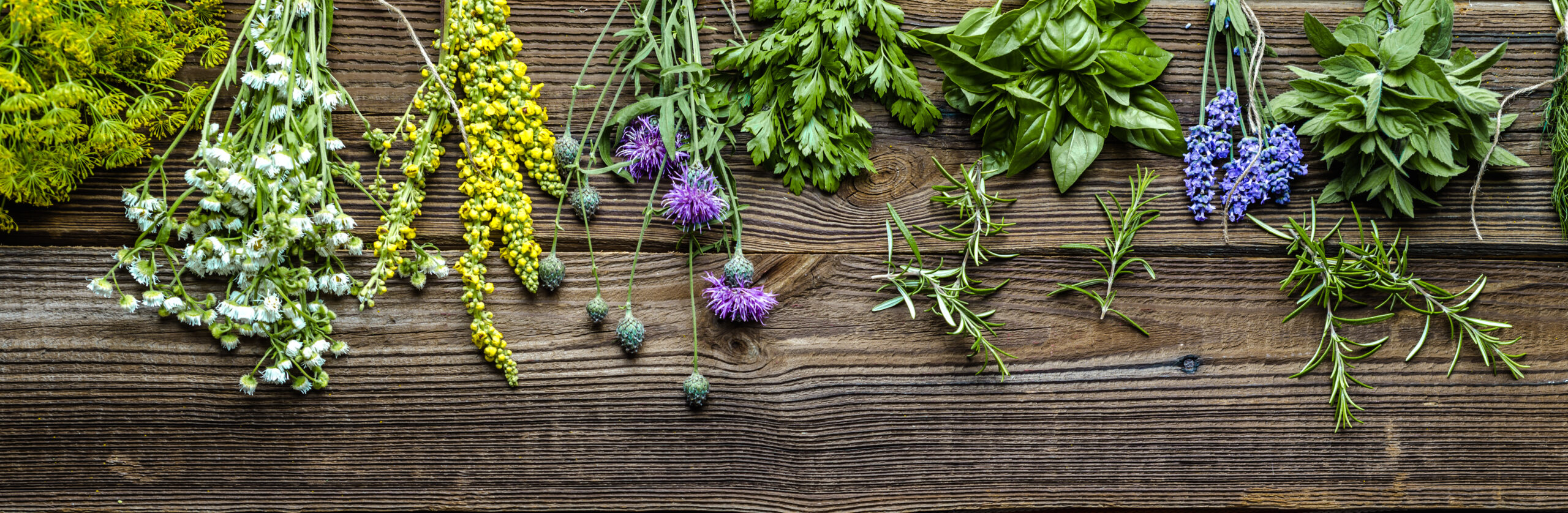 An array of flowers and herbs on a wooden tabletop; used for the herbal apprenticeship.