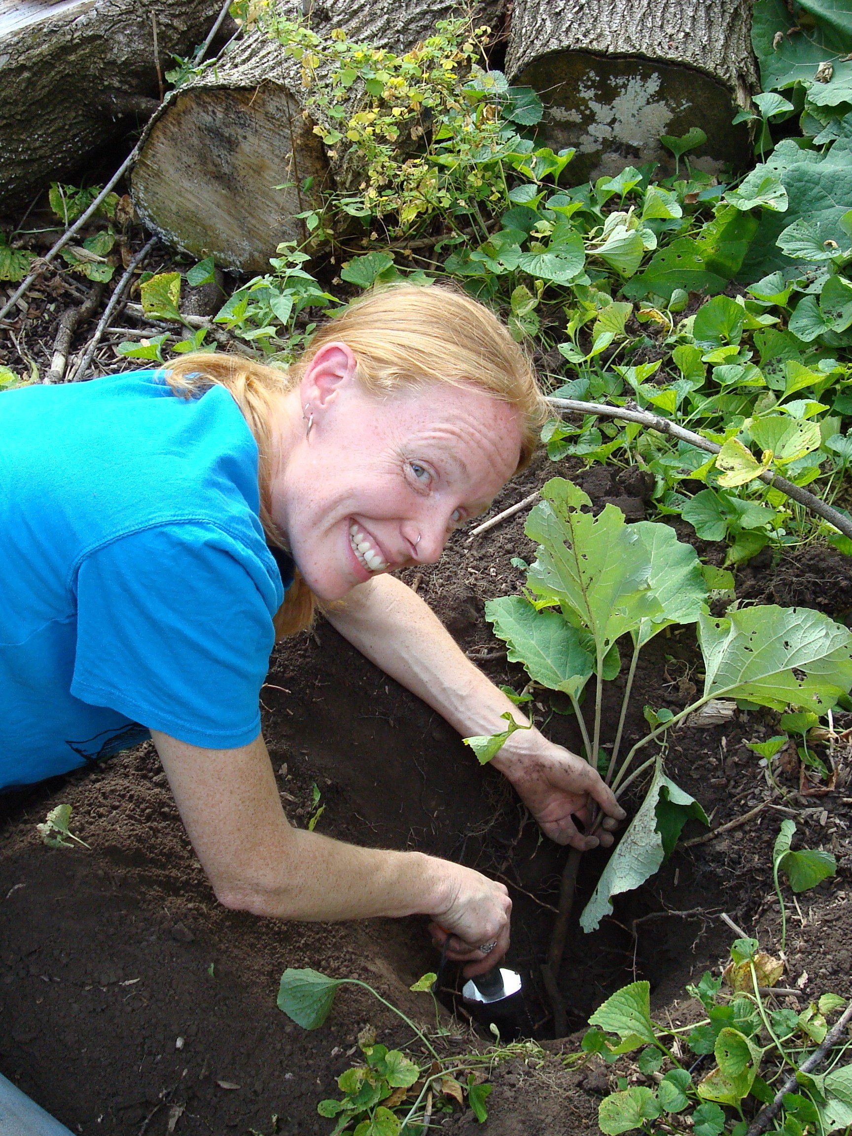 woman smiles digging a burdock plant