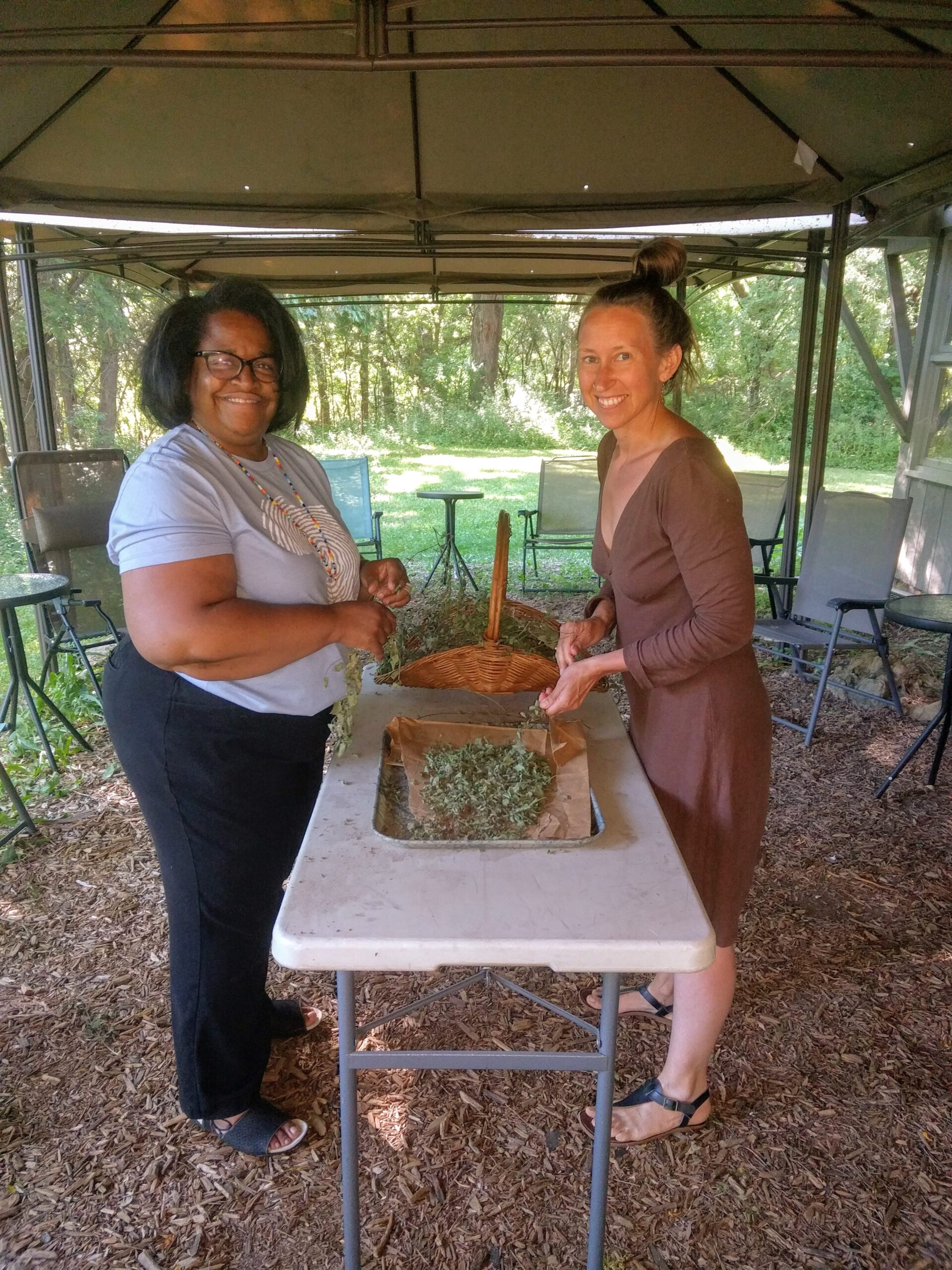 Two women smile under a tent, processing herbs. a table between them.
