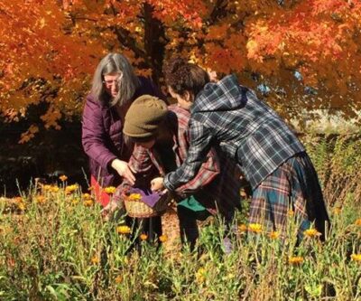 Herbal Apprenticeship One Time Payment by Credit Card