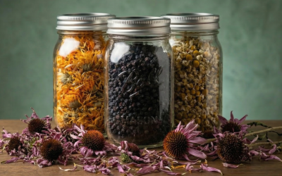 Herbs for Colds and Flus